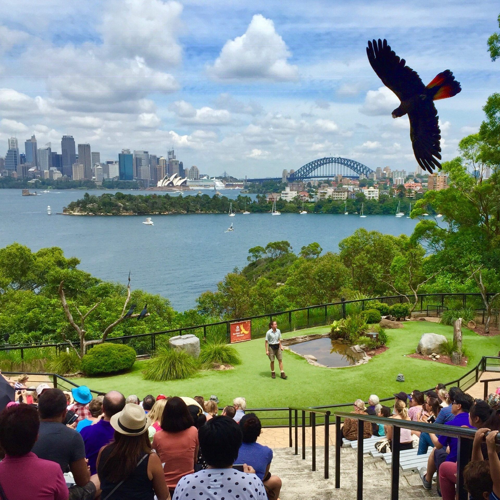 Spectacular harbour views and wildlife at Sydney's Taronga Zoo
