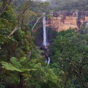 Fitzroy Falls