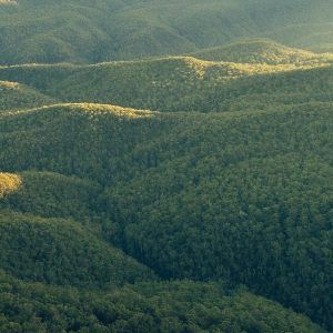 Unique experiences - Private Blue Mountains Tours