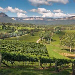 Wine regions and wineries near Sydney