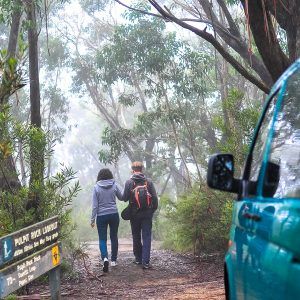 Bush Walk