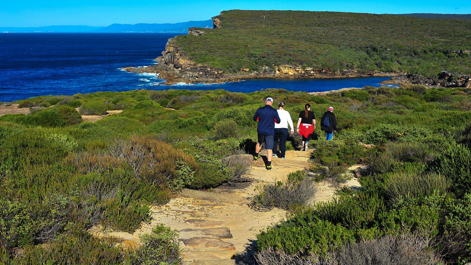 Inspiring bush walks through the Royal National Park