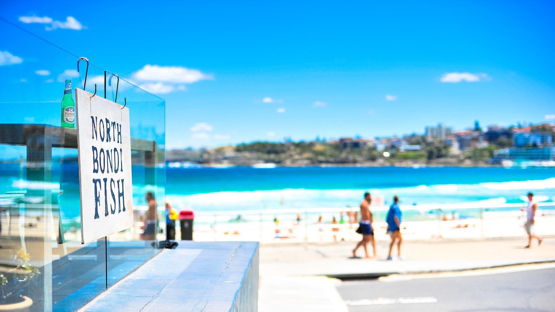 Sydney's beach culture - North Bondi Fish