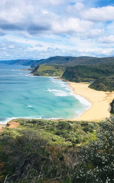 Find uniquely Australian bushland, unspoiled beaches and native wildlife in the Royal National Park south of Sydney