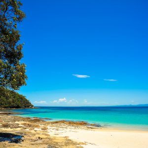 Jervis Bay Tour – The Road less Travelled