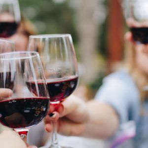 Private Hunter Valley winery tour with cellar door visit and wine tasting