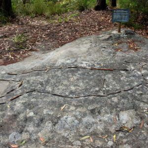 Aboriginal rock art