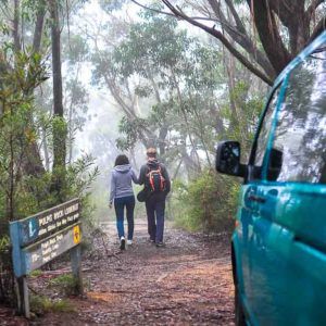 10 Local Tips For The Perfect Blue Mountains Day Trip