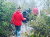 Sydney Adventure Tour - Hiking tours from Sydney