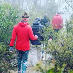 Sydney Adventure Tour - Hiking tours from Sydney