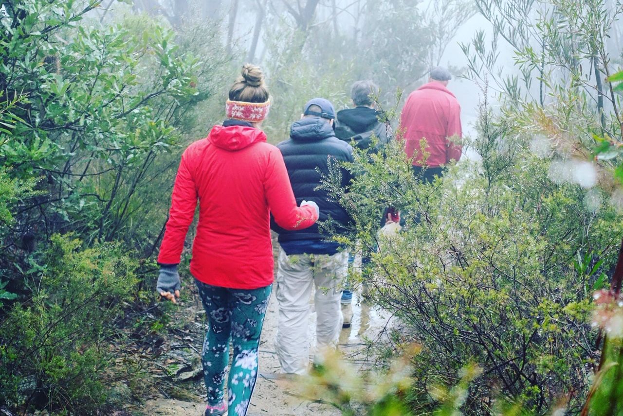 Sydney Adventure Tour - Hiking tours from Sydney