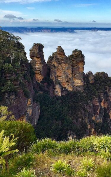 Blue Mountains private tour