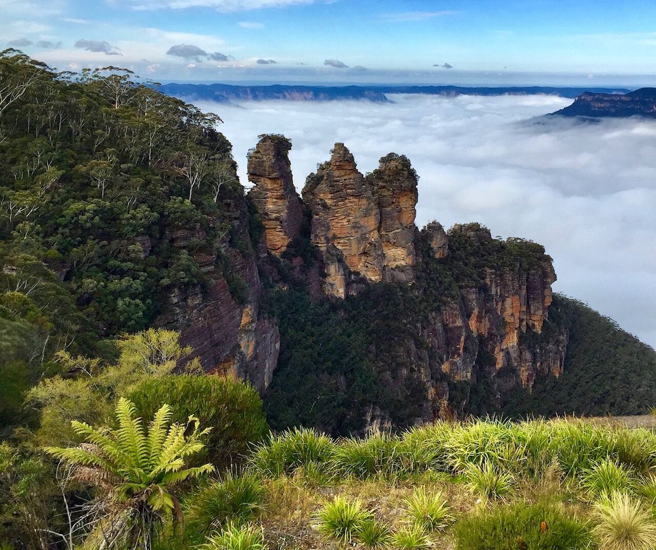 Blue Mountains private tour