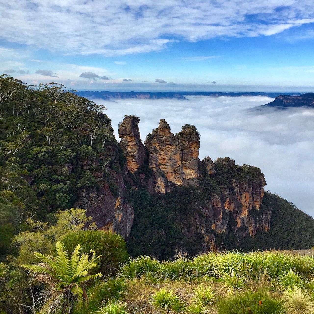 Blue Mountains private tour