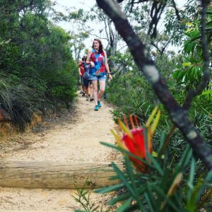 Blue Mountains Tour with easy hiking