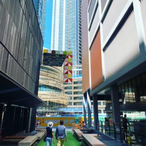 Sydney city private tour Architectural theme