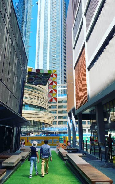 Sydney city private tour Architectural theme