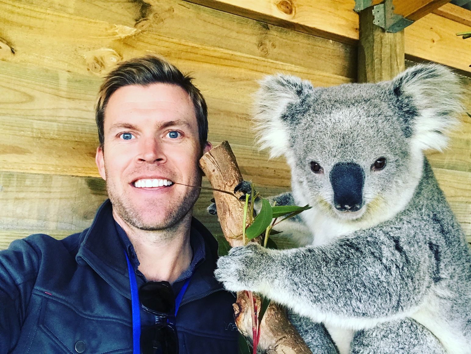 Sydney tour guide Scott Ricketts with a friendly Koala