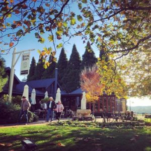 Southern Highlands Wine Tours from Sydney