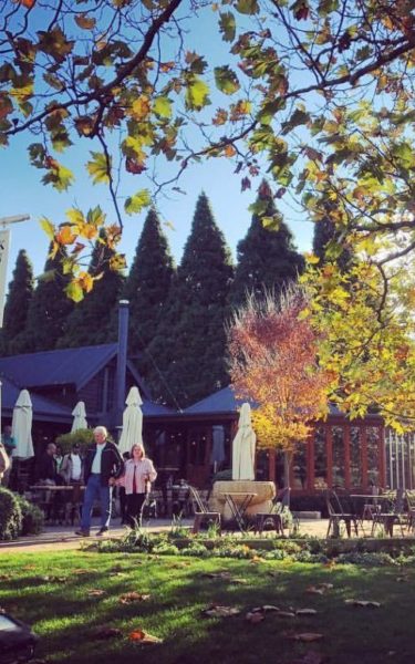 Southern Highlands Wine Tours from Sydney