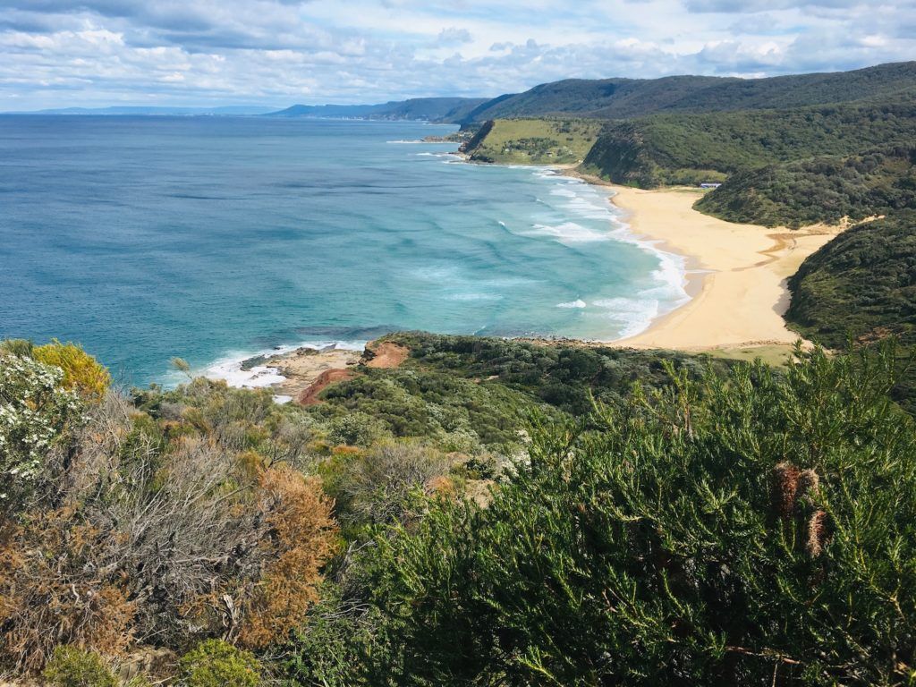 Top 5 day trips from Sydney - Royal National Park