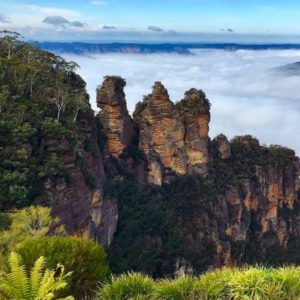 10 Local Tips For The Perfect Blue Mountains Day Trip
