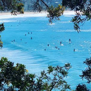 Sydney layover tour airport pick up