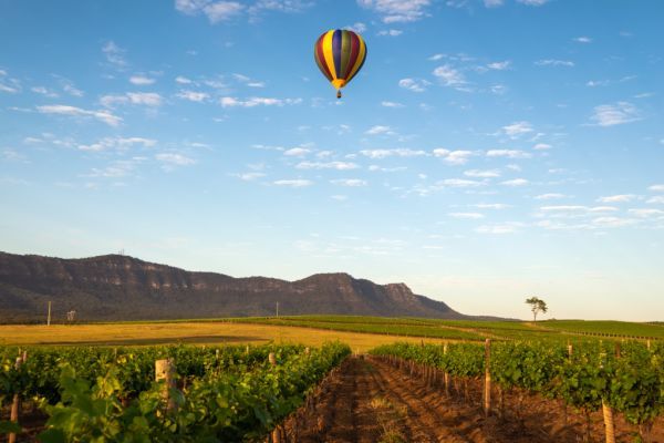 Wineries and wine regions regions near Sydney - Hunter Valley, NSW