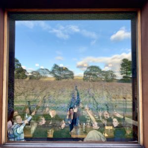 Southern Highlands Wine Tours from Sydney