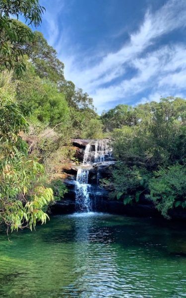 Royal National Park tour - swimming hole