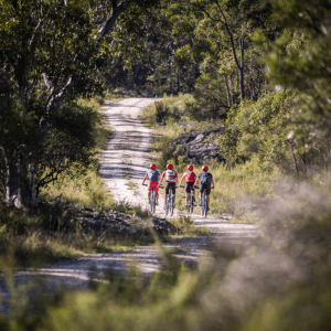Blue Mountains Mtn Biking Adventure