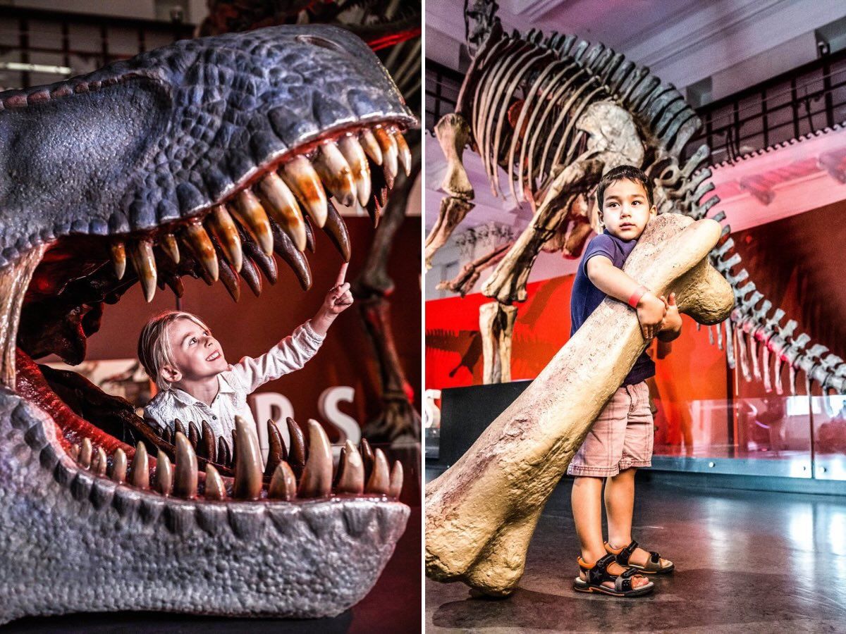 Family Sydney Vacation - Australian Museum