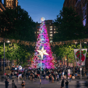 Christmas in Sydney for International Travellers