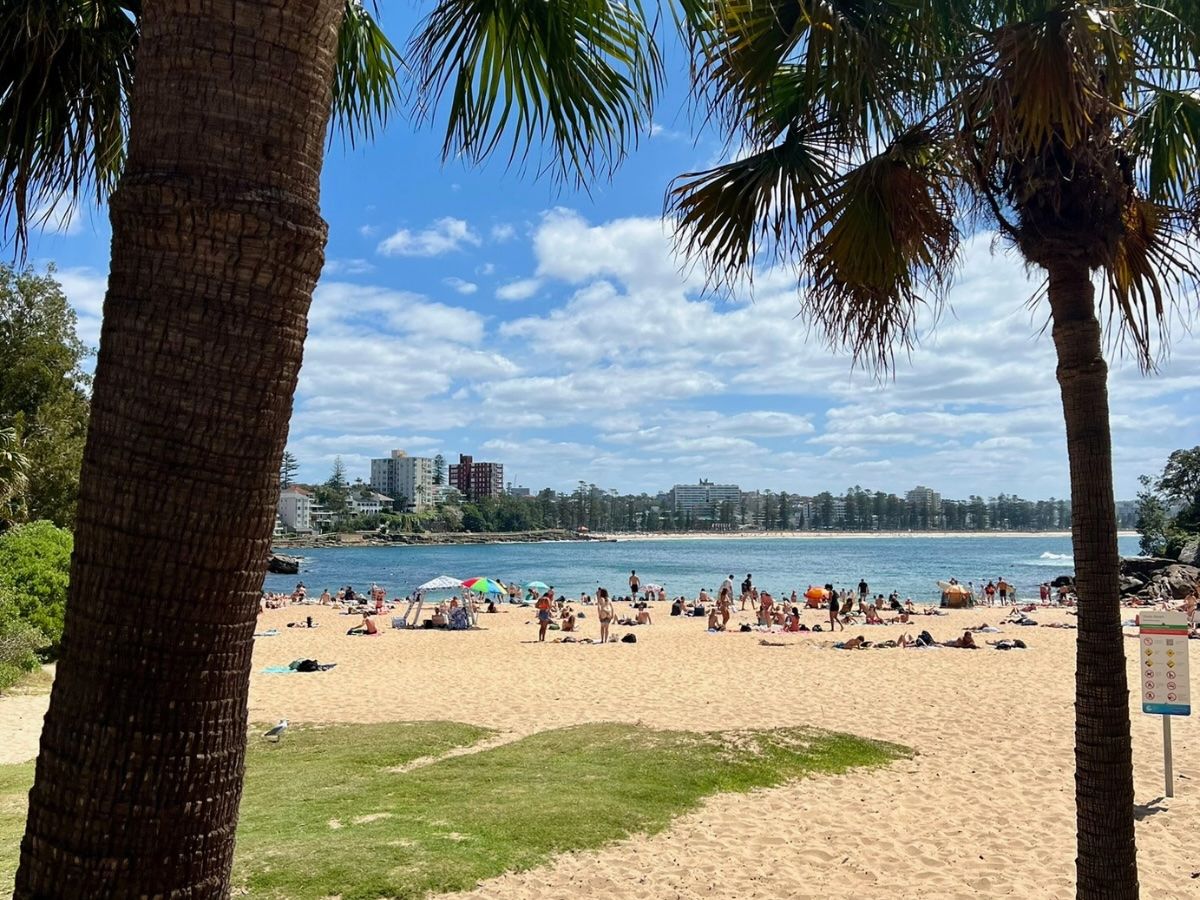 Best Sydney Itinerary 3 and 5 days - Shelly Beach