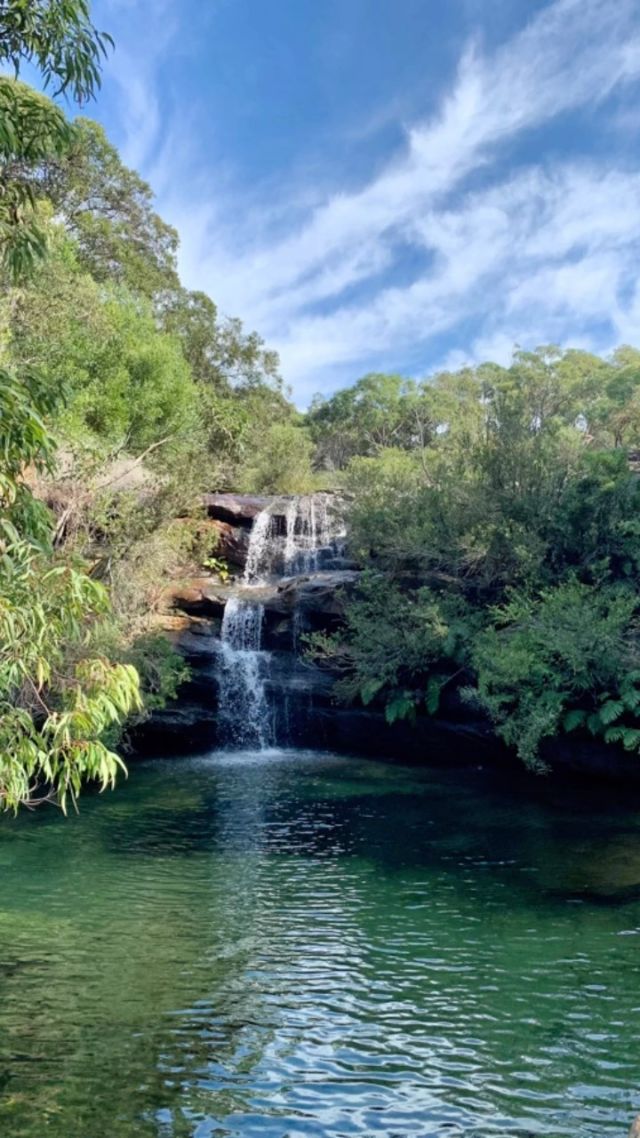 Okay you may think the #bluemountains are the only awesome adventure option from Sydney right?? Check out some shots from our recent Royal National Park tours. Easy drive from the city with awesome hiking, secluded beaches, the famous Watamolla Lagoon, wildlife park and check the last pics for the most pristine freshwater swimming hole that we can take you to 😃... #ilovesydney #yoursydneyguide #seeaustralia #australiabound #wanderlust #jetset #igtravel #vacation #traveling #familytravel #sydneyprivatetours #roadlesstravelled #luxuryispersonal #bespoketravel #newsouthwales #royalnationalpark #sydney #australia #travelaustralia @sydney @australia