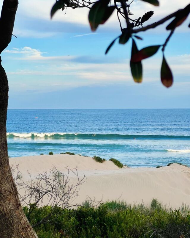 It’s a bit crazy how many amazing beaches there are in Sydney. This is just one of over 100 that you have probably never heard of and it’s the Elouera section of Cronulla Beach in Sydney’s south. Paradise found 🤩