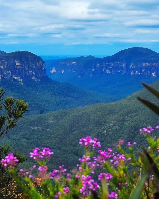 Ten Blue Mountains Fun Facts:⏰ 1.5 hours from Sydney🌲 1 million hectares of pristine wilderness⏳ 300-million-years-old (on 470-million-year-old rocks)🏅 UNESCO heritage-listed🦘 Home to over 455 animal species🥾 Over 140 kilometres of hiking trails🚴 Almost 40 mountain biking trails🧗 2,000 kilometres of sandstone rock face👧👧👧 1,000 steps from famous 3 Sisters to forest floor🔟 We have over 10 years’ expert guiding experience hereCheck out our amazing private Blue Mountains tours at yoursydneyguide.com.au#bluemountains #funfacts #sydney #australia #yoursydneyguide #privatedaytours #bluemountainstours #luxurytravel #sydneyholiday #localtourguides