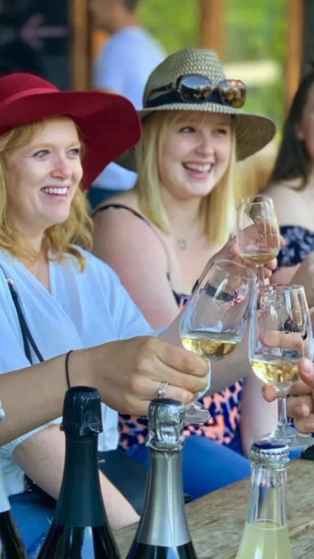 A hidden gem for international travellers, the charming Southern Highlands is home to around 50 wineries 🍷🍇🍾 We’ll take you there on a private tour to try the best quality wines and local cuisine. Visit yoursydneyguide.com.au for tour info. #southernhighlands #winetours #yoursydneyguide #sydney #australia #privatetours #luxurytravel #wine