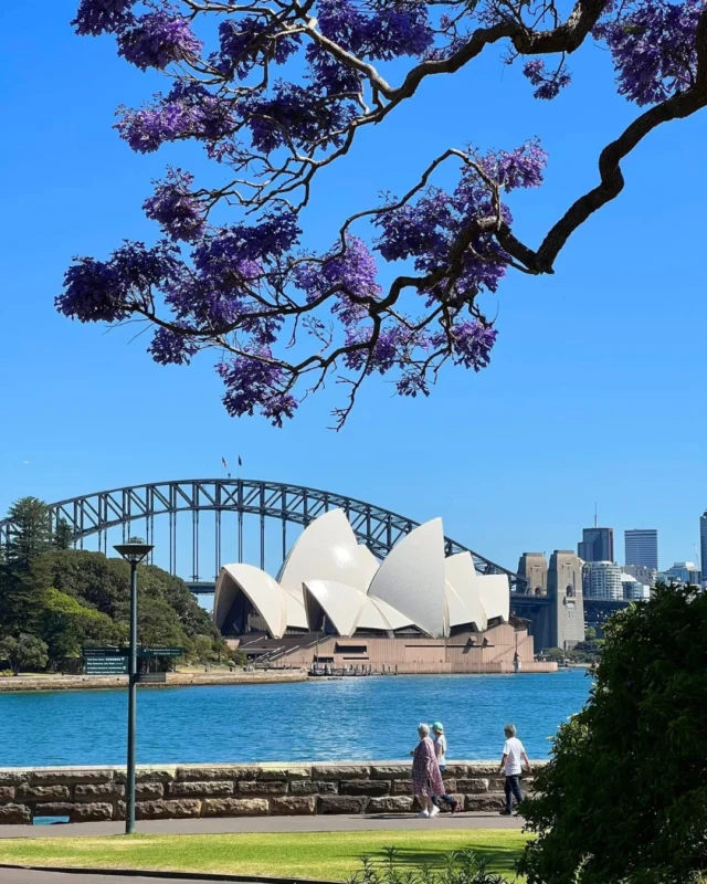 For Australia Day, just a taste of our treasured Aussie icons. Sadly, no Vegemite 😜🇦🇺🐨🦘⛰️#australiaday #yoursydneyguide #sydney #australia #celebrate #aussie #iconic #sydneyoperahouse #sydneyharbourbridge #bluemountains #koala #kangaroo