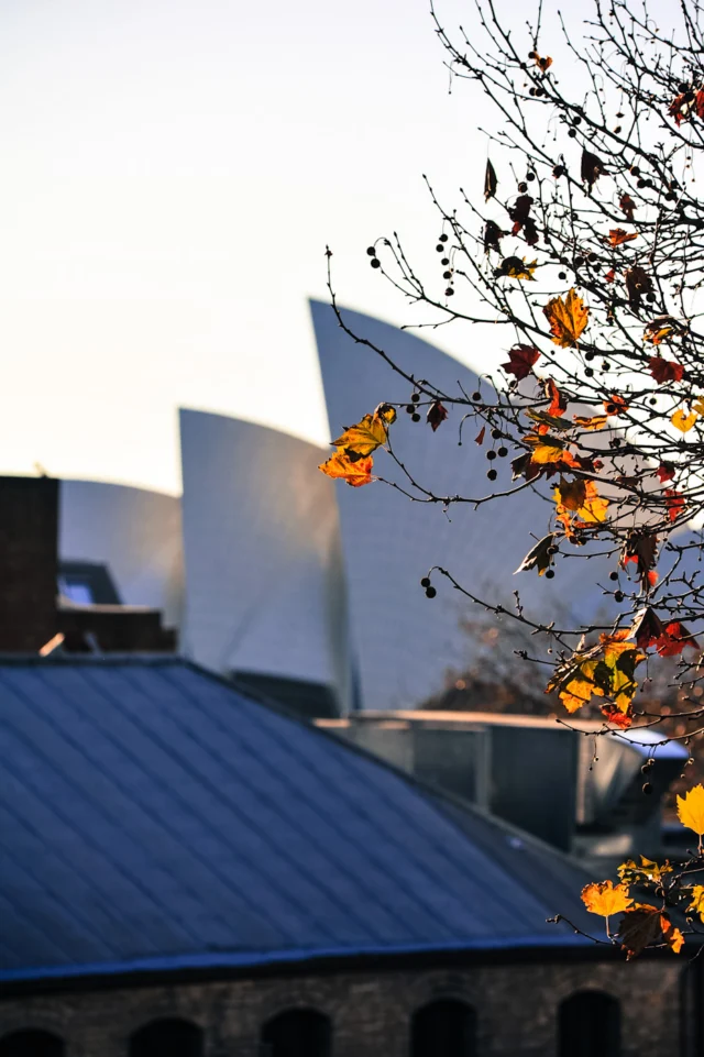 Winter is coming... to Sydney.#winter #seasonsoflife #sydneyaustralia #yoursydneyguide #sydneyprivatetours #visitsydney #visitNSW