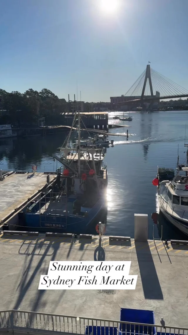 Perfect dining weather at Sydney Fish Market. #Sydney #sydneyfishmarket #yoursydneyguide #australia #freshfishmarket
