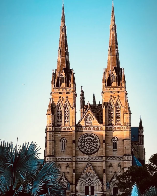 Sydney's majestic St Mary's Cathedral in the afternoon light. Located opposite Hyde Park, it stands on the site of the first Catholic Church in Australia. The cathedral, with its grand Gothic Revival style inspired by the great medieval cathedrals of Europe, was rebuilt after a fire in 1865. Free guided tours take place every Sunday at 2pm. @stmaryscathedralsydney #stmaryscathedralsydney #sydneyarchitecture #sydneyhistory #yoursydneyguide #privatesydneytours #sydneyaustralia🇦🇺