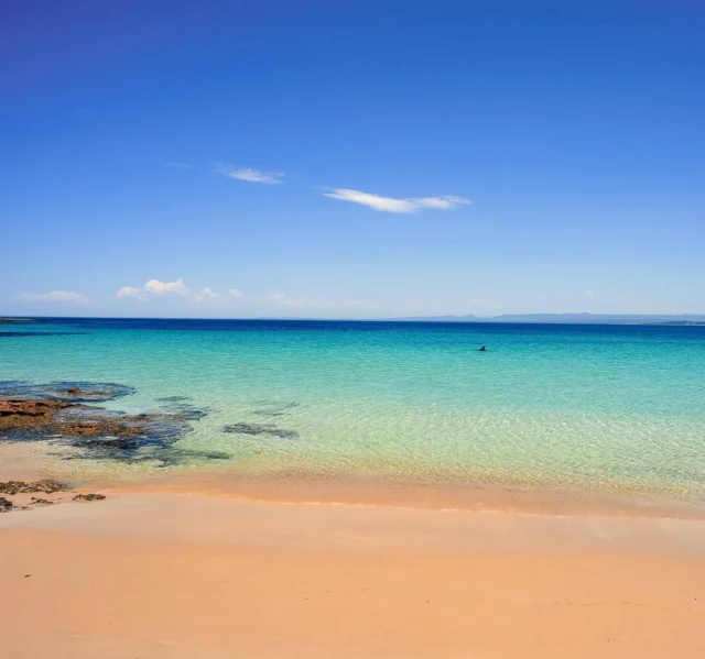 This is the type of beautiful beachiness you can expect to find on the New South Wales South Coast. Zoom in for the fin! #beautiful #beaches #NSWSouthCoast #yoursydneyguide #privatesydneytours #visitnsw #visitsydney #sydneyaustralia