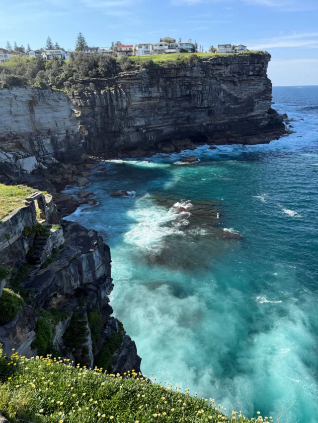 At the stunning Diamond Bay Reserve in Dover Heights in the Eastern Suburbs of Sydney. With breathtaking views framed by dramatic 80 metre sandstone cliffs, it can be found on the Federation Cliff Walk, a five kilometre coastal trail from Dover Heights to Watsons Bay. Your Sydney Guide can also take you there as part of a private Sydney city day tour.#diamondbayreserve #sydneyaustralia🇦🇺 #yoursydneyguide #sydneywalks #sydneyprivatetours