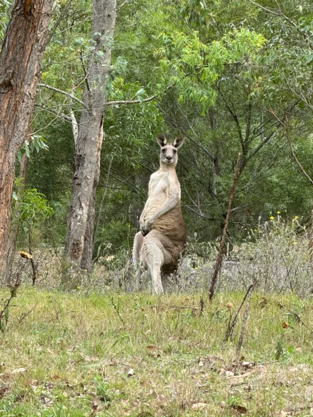 Caption this.#captionthis #sydney #australia #yoursydneyguide