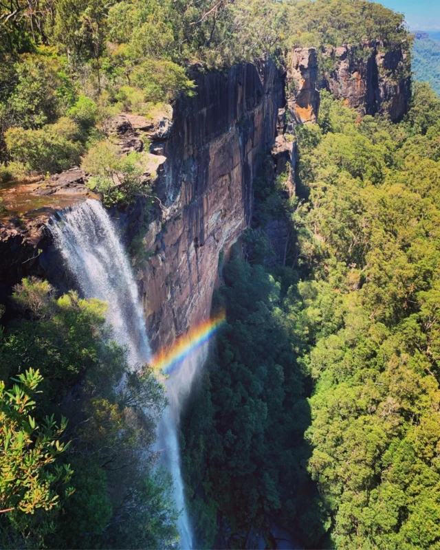 We love getting out in nature and capturing it in all its glory. And all right on Sydney's doorstep.#naturelovers #naturephotography #sydney #australia #yoursydneyguide