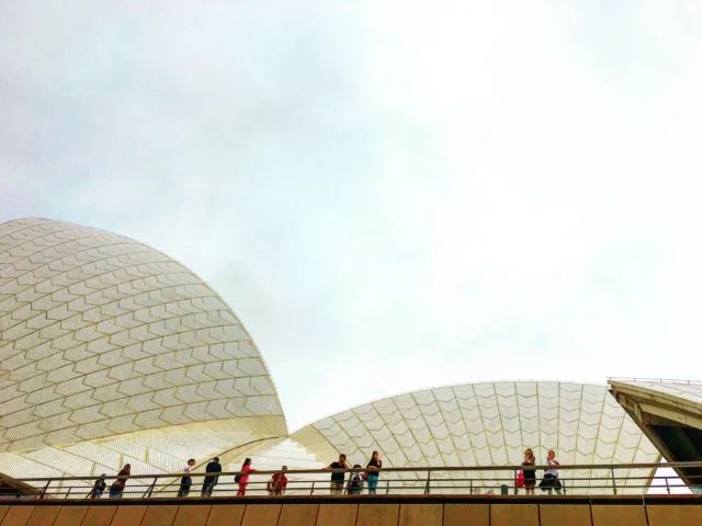 Do you see what we see? How cheeky! 🍑 🤣 #cheekymonkey #sydneyoperahouse #sydney #australia #yoursydneyguide #privatesydneytours