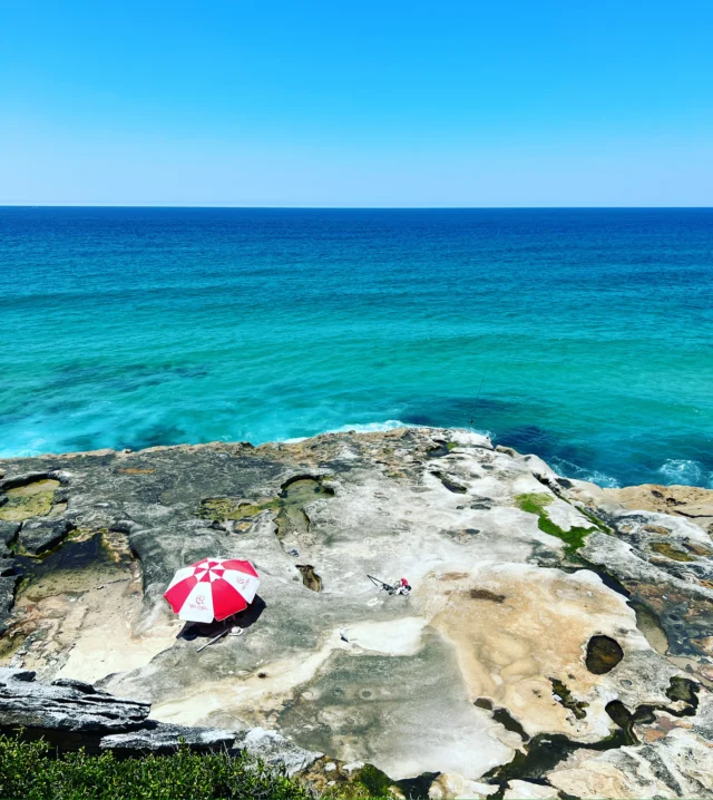 Temperatures topped 30 degrees today in Sydney, and we're still a good few months away from summer! Life's tough here in the sparkling city 😎 Wish you were here.#spring #summervibes #sydney #australia #yoursydneyguide #privatedaytours