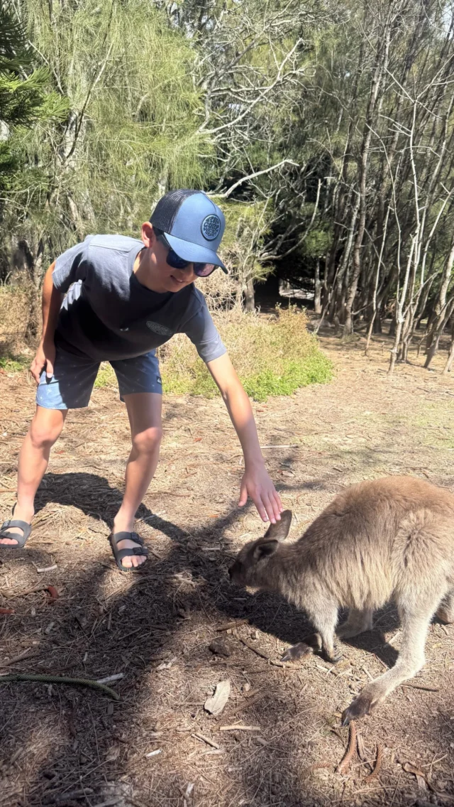 Meeting some friendly locals on the South Coast of NSW. This is a famous beachside camping spot called Durras Beach and kangaroos are always here to greet you ❤️#yoursydneyguide #australia #visitnsw #kangaroos #luxurytravel
